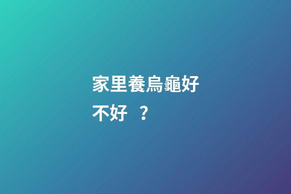 家里養烏龜好不好？